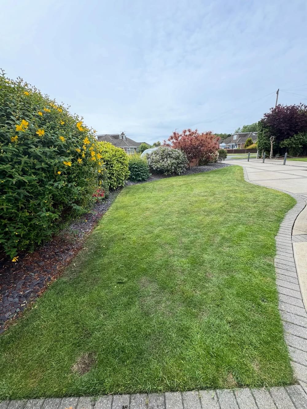 A freshly mowed and edged front lawn with trimmed hedges and flowering shrubs, maintained by Carratt's Garden Maintenance